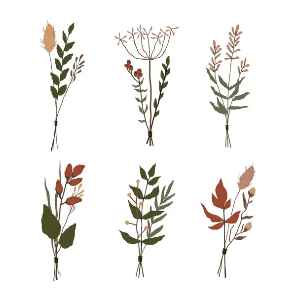 Set von floralen Elementen. Botanische Sammlung. Bündel von Wildkräutern. Blumen, Blätter, Zweige und andere natürliche Elemente. — Stockvektor