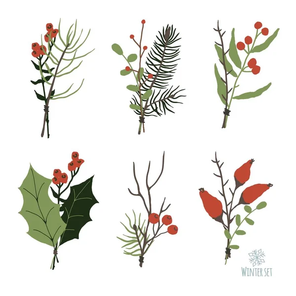 Set of winter floral decoration element with pine, leaves, berries and spruce. Hand drawn style. — Stock Vector