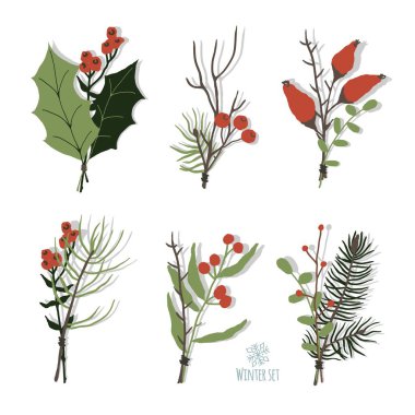 Çam, yaprak, böğürtlen ve ladin içeren kış çiçekleri. El çizimi stili. Kış süsü tasarımı için vektör illüstrasyonu.