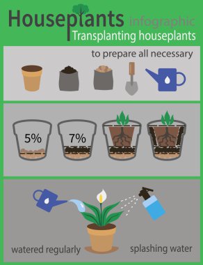 Houseplants infographics nakli