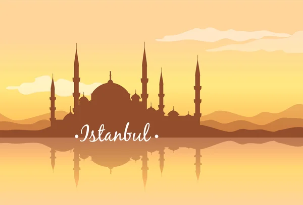 Istanbul is a city of contrasts — Stock Vector
