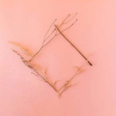 Kuru bitkilerden ve yumuşak pembe arka plandan yapılmış yumuşak bir alan. Doğal yaratıcı çerçeve.