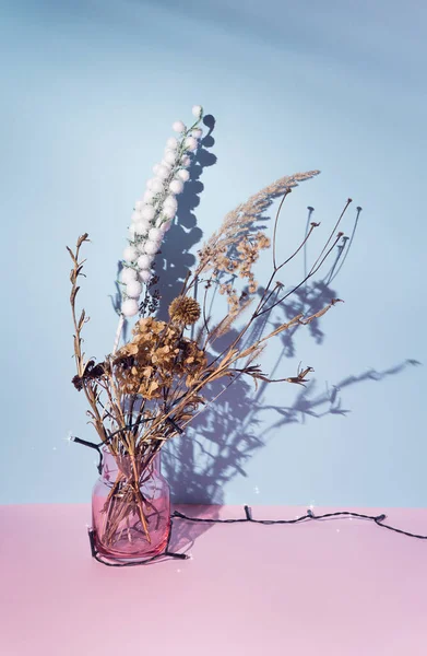 Bunga Kering Yang Indah Dan Daun Dengan Satu Cabang Bersalju — Stok Foto