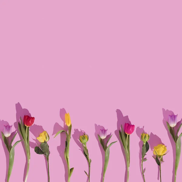 Pola Tulip Berwarna Pada Latar Belakang Pastel Ruang Kopi Rata — Stok Foto