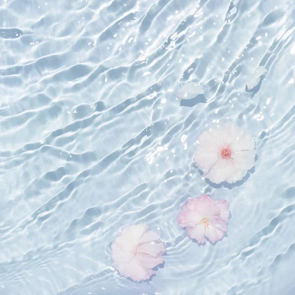 ดอกไม ชมพ และส ขาวเล ในน าคล เหน ดเหน ฉากแบนท สวยงามน — ภาพถ่ายสต็อก