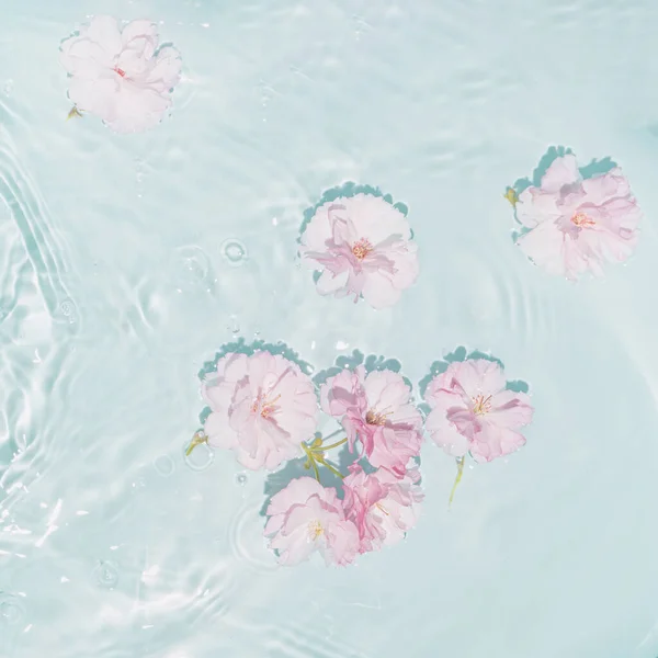 ดอกไม ชมพ และส ขาวท สวยงามในน าคล วงอ ฉากแบนท สวยงามน อยท — ภาพถ่ายสต็อก