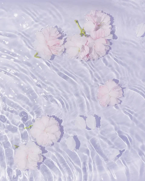Bunga Mawar Merah Muda Dan Putih Dalam Air Dengan Gelombang — Stok Foto