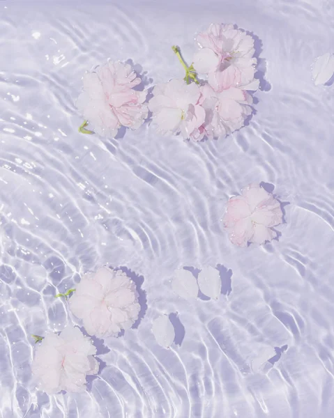 Roze Witte Roos Bloemen Het Water Met Pastelpaarse Golven Minimale Stockfoto