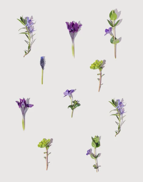 Pastel Arka Planda Renkli Çiçek Desenleri Var Yaratıcı Düz Kopya — Stok fotoğraf