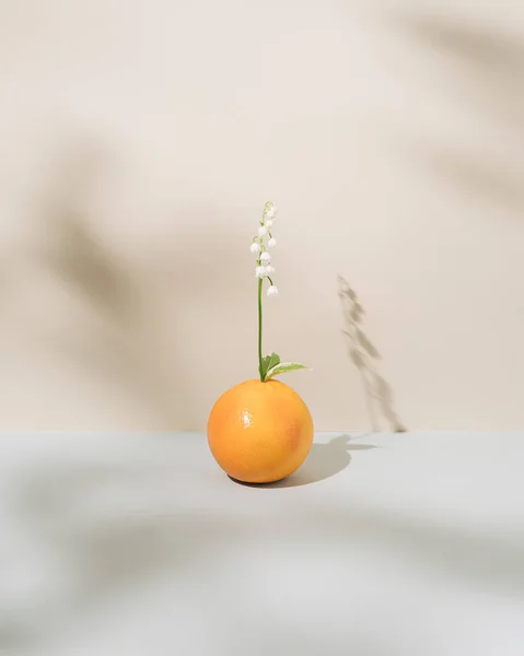 Satu Bunga Lili Oranye Dan Putih Dari Lembah Pada Dinding — Stok Foto