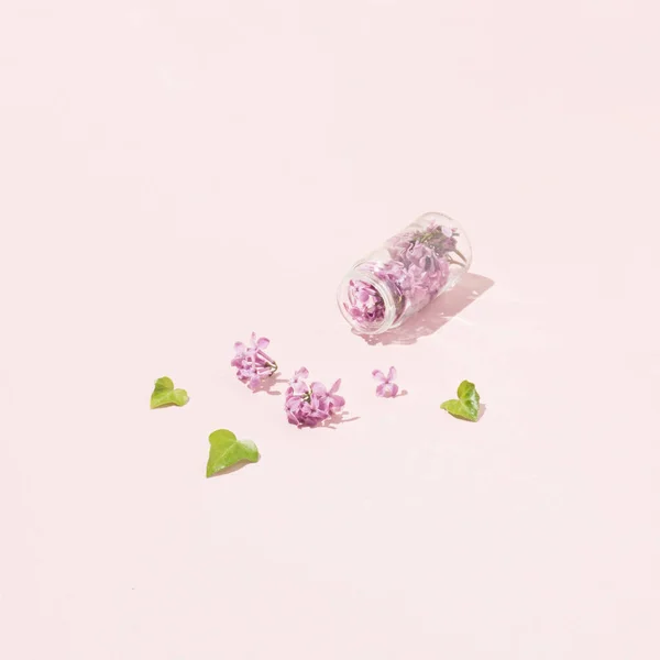 Laç Hapları Için Küçük Cam Şişe Içi Güzel Leylak Çiçekleri — Stok fotoğraf