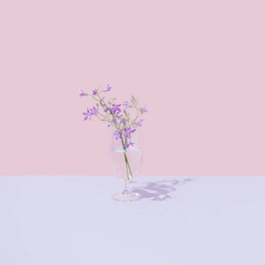 Şeffaf sıvı ve güzel mor tarla çiçekleriyle dolu cam. Parlak pastel pembe arka plan. Asgari doğa estetiği.