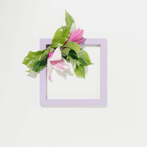 Bingkai Ungu Dengan Indah Magnolia Bunga Pada Pastel Mint Latar — Stok Foto