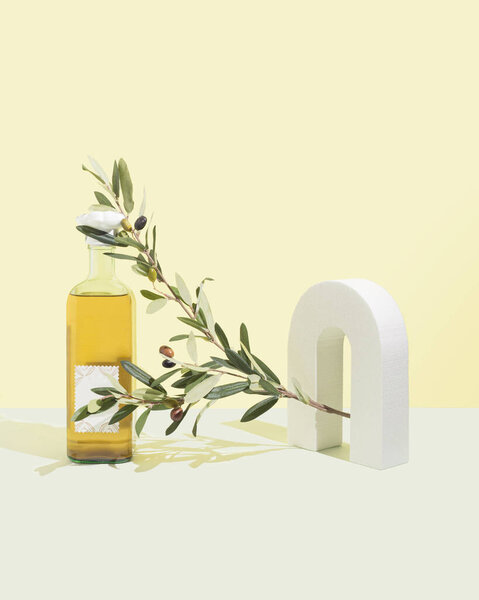 Green Olive Tree Branch Pastel Yellow Turquoise Background One White Royalty Free Stock Photos