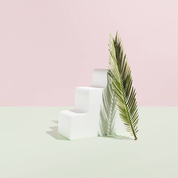 Green Cikas Palm Leaf Pastel Pink Turquise Background One White Stock Photo