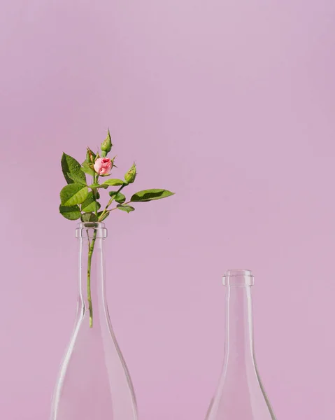 Pola Kreatif Frontal Terbuat Dari Botol Anggur Mawar Dan Mawar — Stok Foto