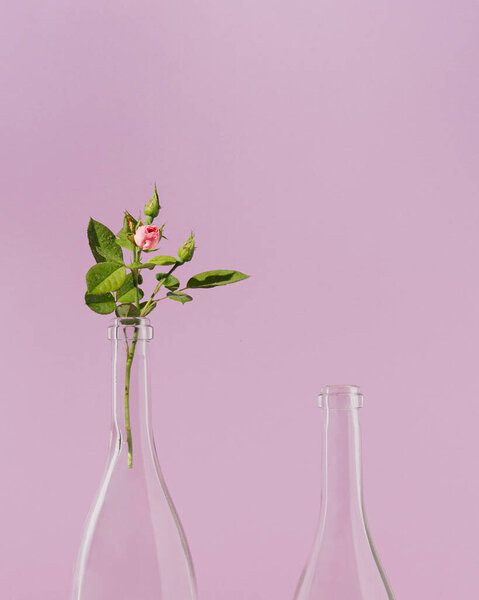 Creative Frontal Pattern Made Rose Wine Bottles Pink Roses Pastel Stock Photo
