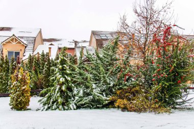 Bükreş 'te güzel bir mahallede kar yağışı vardı. Noel manzarası.