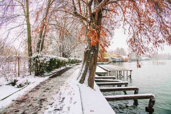 冬の季節 ルーマニアのブカレスト公園雪に覆われた壮大な風景 — ストック写真
