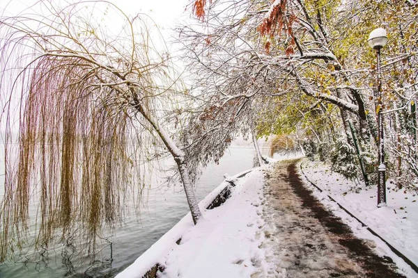 冬の季節 ルーマニアのブカレスト公園雪に覆われた壮大な風景 — ストック写真