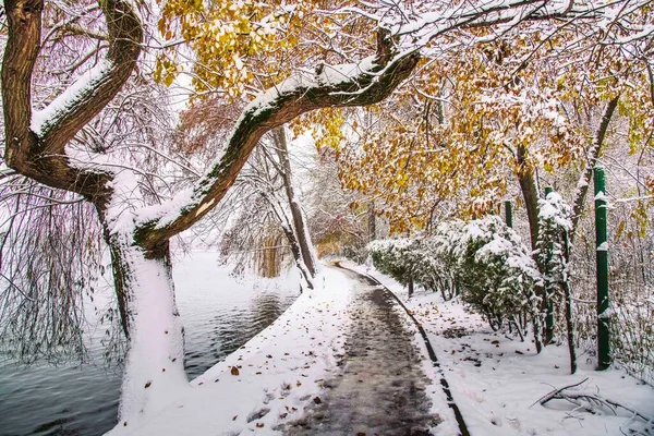 冬の季節 ルーマニアのブカレスト公園雪に覆われた壮大な風景 — ストック写真