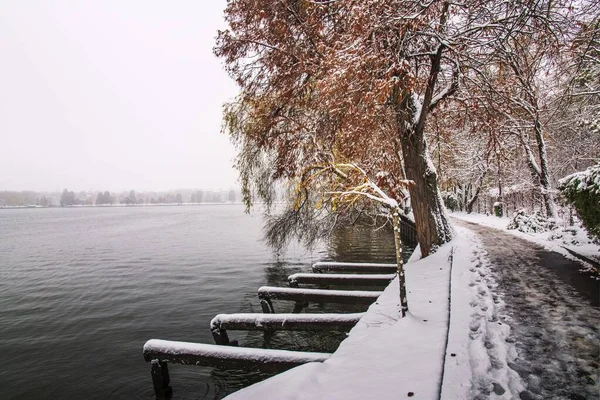 冬の季節 ルーマニアのブカレスト公園雪に覆われた壮大な風景 — ストック写真