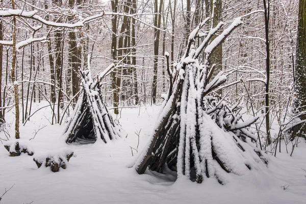 Winterwald Mit Schöner Aussicht Schneefall Weiße Weihnachten Bukarest — Stockfoto