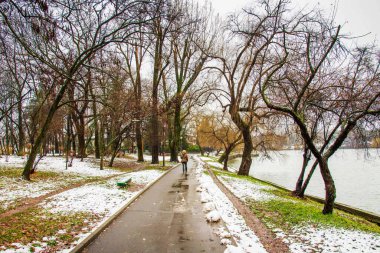 Kardan bir gün sonra Herastrau Parkı 'nı ziyaret etmek için en güzel gün. Yansımaları olan güzel bir manzara. Huysuz, soğuk bir gün.