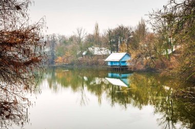 Kardan bir gün sonra Herastrau Parkı 'nı ziyaret etmek için en güzel gün. Yansımaları olan güzel bir manzara. Huysuz, soğuk bir gün.