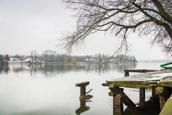 A day after the snow the greatest day to visit Herastrau park. Beautiful landscape with reflections.Moody sky cold day