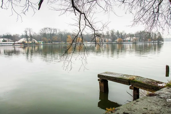 A day after the snow the greatest day to visit Herastrau park. Beautiful landscape with reflections.Moody sky cold day