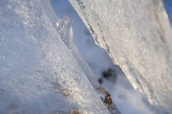 Detailní Záběr Kusy Ledu Textury Lese Zimním Období Bukurešti — Stock fotografie