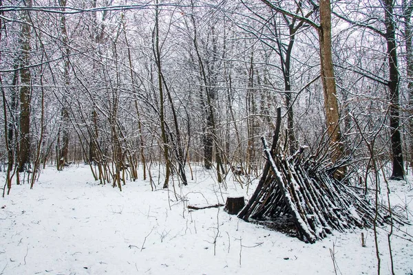 Winter landscape with falling snow. Snow forest, snow is falling. Christmas Winter New Year background magnificent scenery. Cold temperature