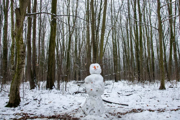 Winter landscape with falling snow. Snow forest, snow is falling. Christmas Winter New Year background magnificent scenery. Cold temperature