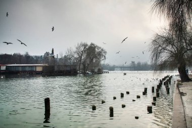 Parkta güzel bir kış günü, Bükreş 'te Parcul Tineretului