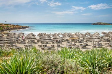 Nissi Beach Körfezi Panoraması. Temiz su, yaz mevsimi, harika hava.