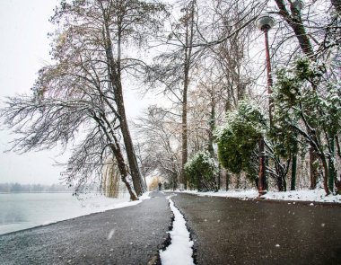 Bükreş 'teki Herastrau parkında kar yağışlı kış manzarası. Kar yağıyor, soğuk bir gün. Güzel gün