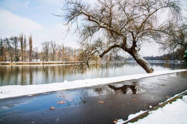 Bükreş 'teki Herastrau parkında kar yağışlı kış manzarası. Kar yağıyor, soğuk bir gün. Güzel gün