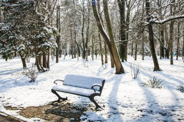 Bükreş 'teki Herastrau parkında kar yağışlı kış manzarası. Kar yağıyor, soğuk bir gün. Güzel gün