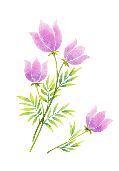 Akvarelové květiny — Stock fotografie