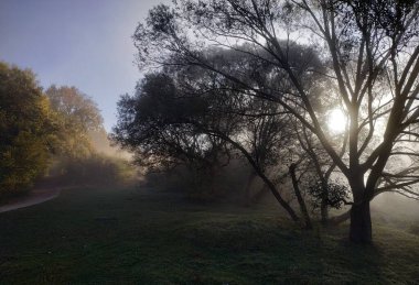 Nehir boyunca sabah yürüyüşü. Sonbahar tazeliği, hafif sis yükselen güneşin ışınlarında kaybolur..