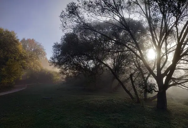 Nehir boyunca sabah yürüyüşü. Sonbahar tazeliği, hafif sis yükselen güneşin ışınlarında kaybolur..