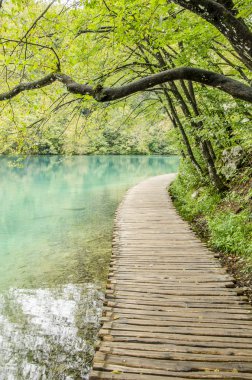 ahşap yol ve göller Plitvicka göl Park