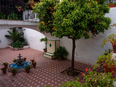 Granada, Endülüs ve İspanya 'daki eski bir Arap evinin iç bahçesi.