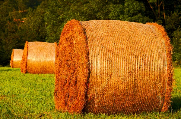 ¡Haystacks! — Foto de Stock