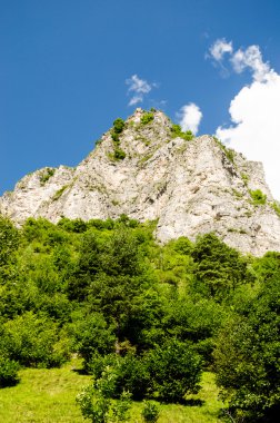 scenic moutain peak of italian alps over the line of trees