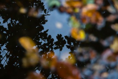 Yansımaları ve gerçeklik katmanları