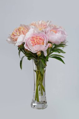 Gri bir arka planda ince bir buket şakayık..