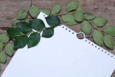 Kayıt için bir defterden alınmış beyaz bir sayfa yaprak ve dallardan oluşan eski bir ahşap masa üzerinde yatar..