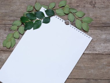 Kayıt için bir defterden alınmış beyaz bir sayfa yaprak ve dallardan oluşan eski bir ahşap masa üzerinde yatar..